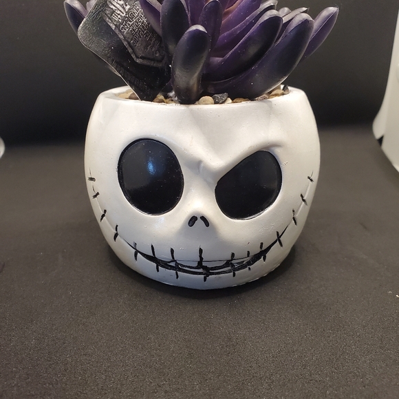 Nightmare before Christmas succulent decor - Picture 5 of 7